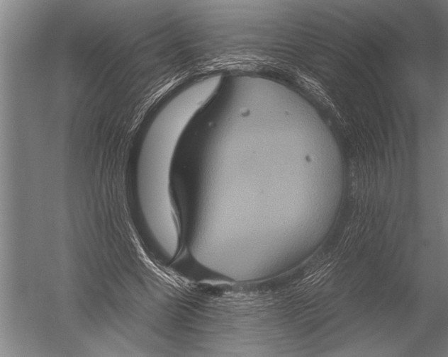 X0000051240538200507082127