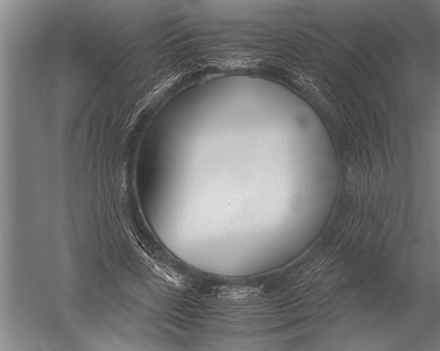 X0000051240539200507082127