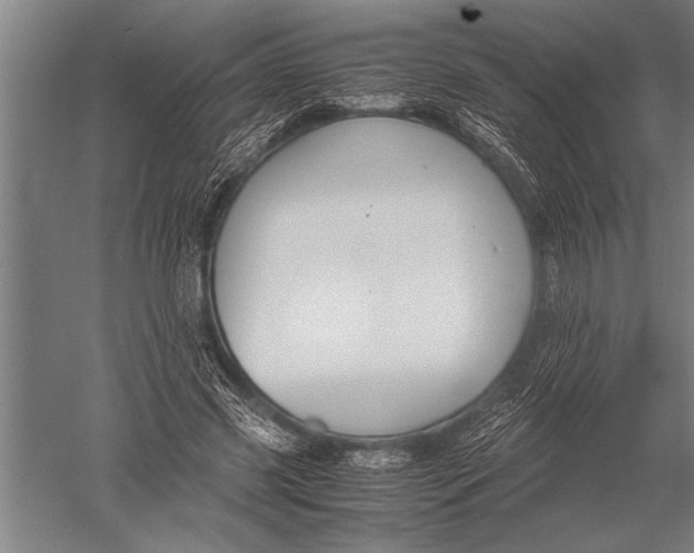 X0000051240541200507082127