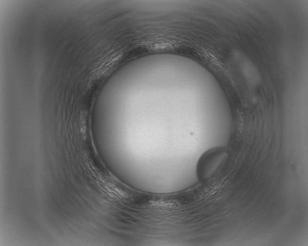 X0000051240545200507082127