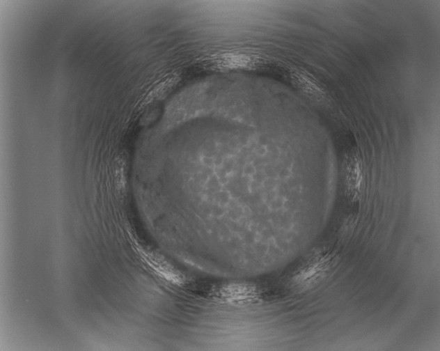 X0000051240546200507082127