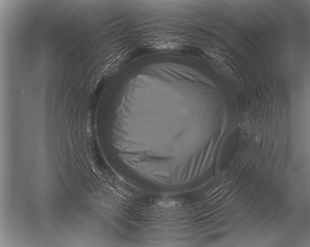 X0000051240547200507082127