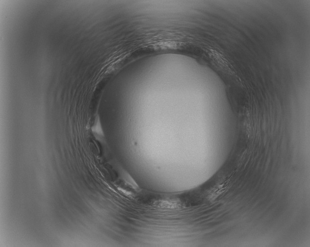 X0000051240548200507082127