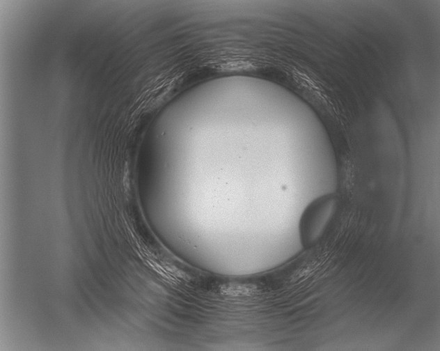 X0000051240549200507082127