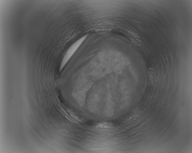 X0000051240550200507082127