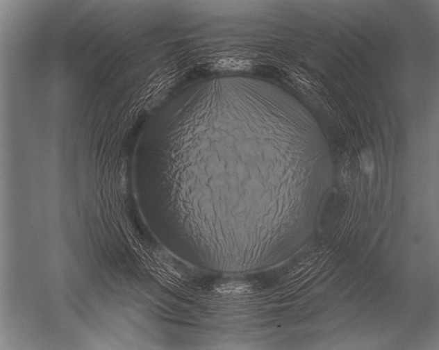 X0000051240551200507082127