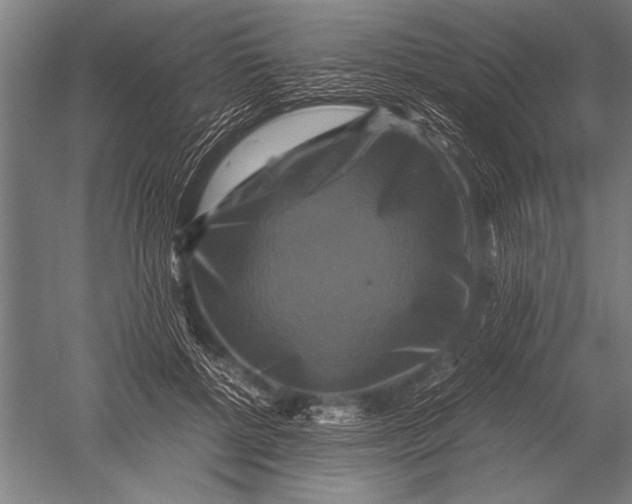 X0000051240552200507082127