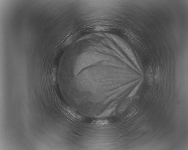 X0000051240554200507082127