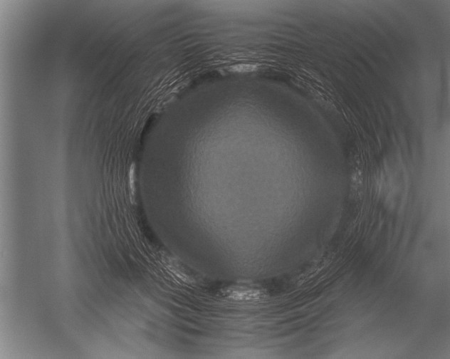 X0000051240555200507082127