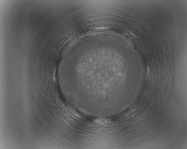 X0000051240556200507082127