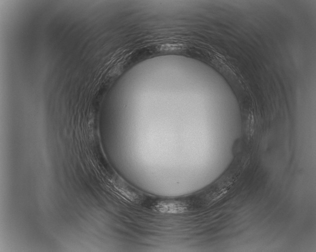 X0000051240557200507082127