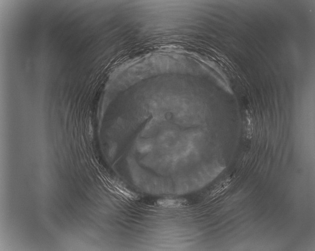 X0000051240558200507082127