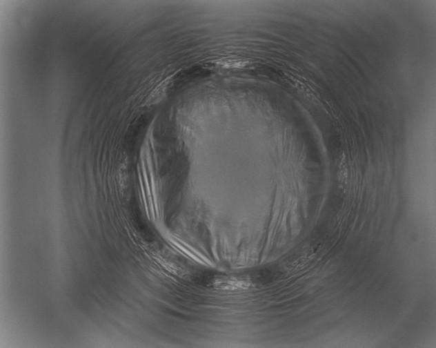 X0000051240559200507082127