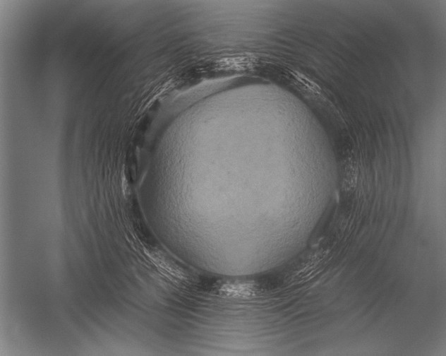 X0000051240560200507082127