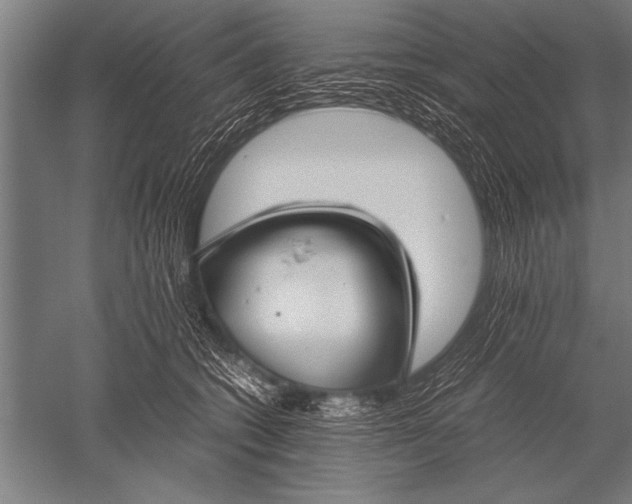 X0000051240562200507082127