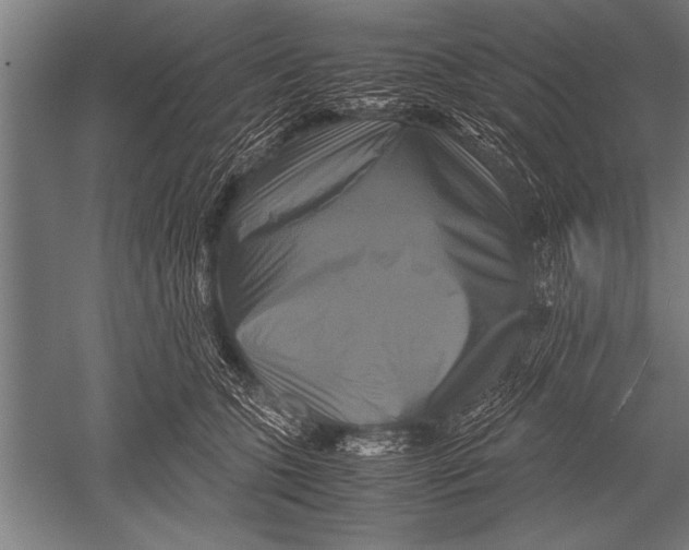 X0000051240563200507082127