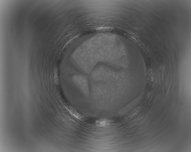 X0000051240564200507082127