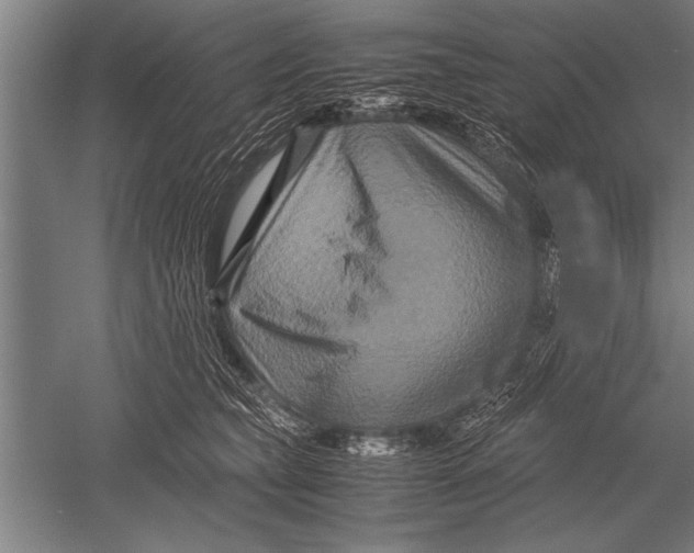 X0000051240565200507082127