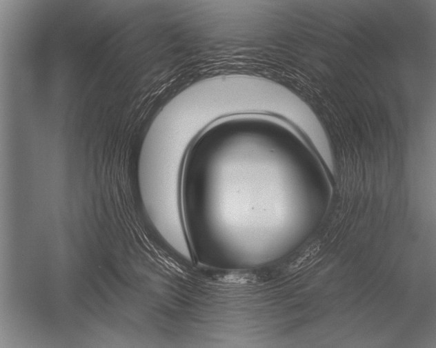 X0000051240566200507082127