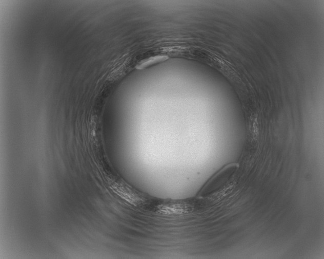 X0000051240567200507082127