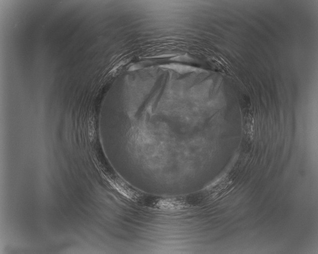 X0000051240568200507082127