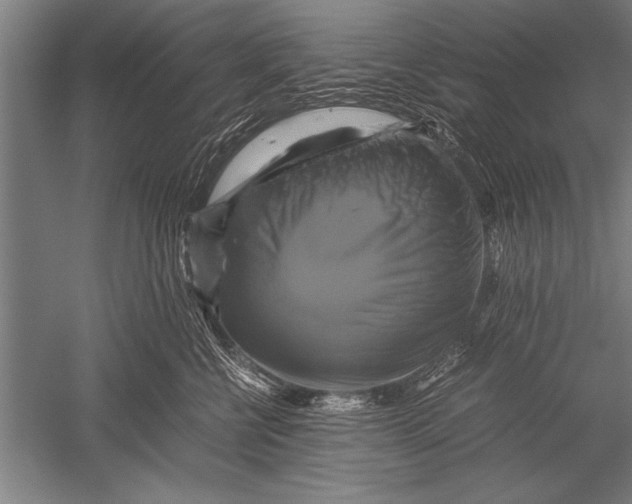 X0000051240570200507082127