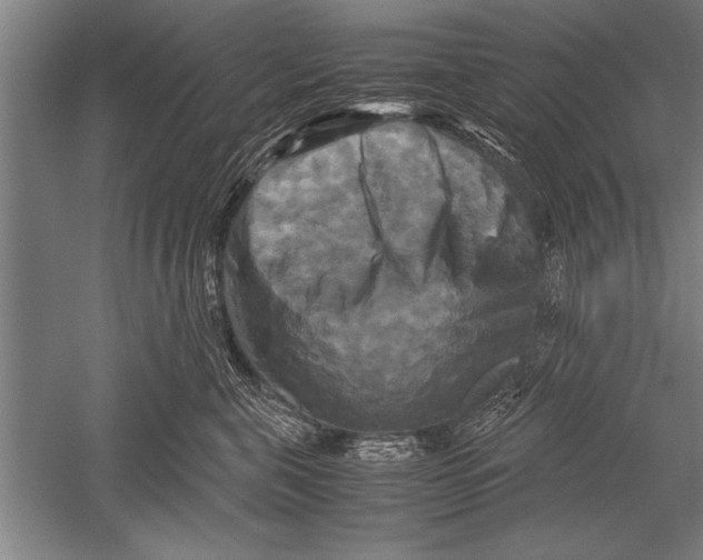 X0000051240571200507082127