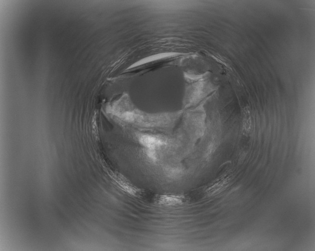 X0000051240573200507082127