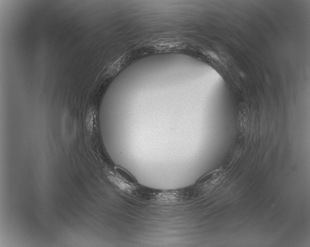 X0000051240574200507082127