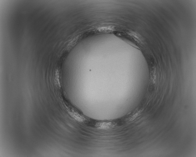 X0000051240575200507082127