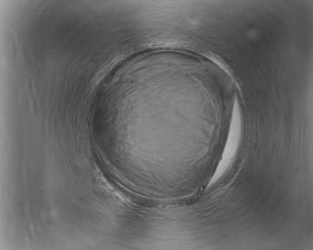 X0000051240577200507082126