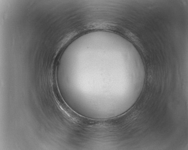 X0000051240578200507082126