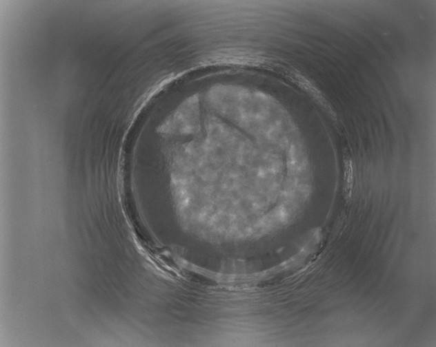 X0000051240580200507082126