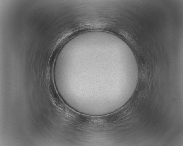 X0000051240583200507082126