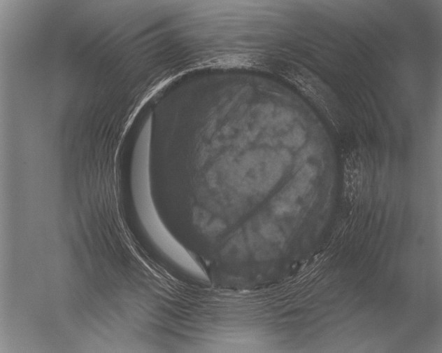 X0000051240584200507082126