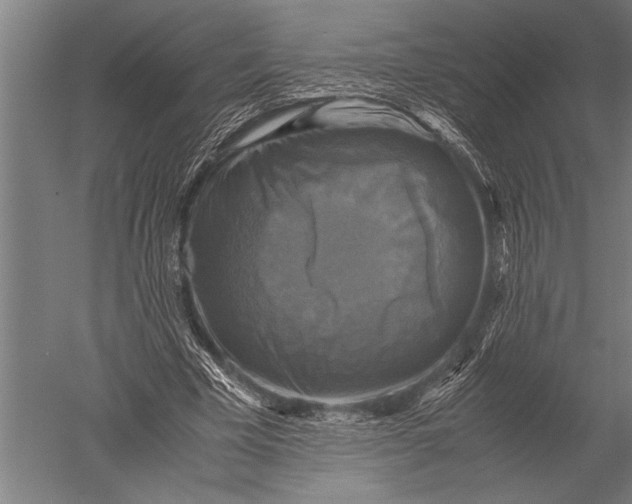 X0000051240585200507082126