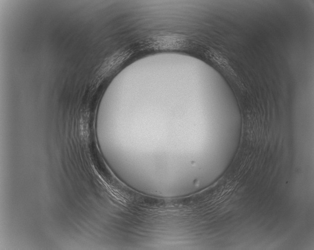 X0000051240586200507082126