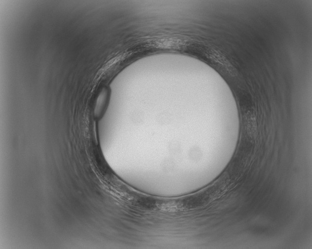 X0000051240587200507082126