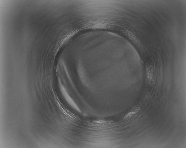 X0000051240588200507082126