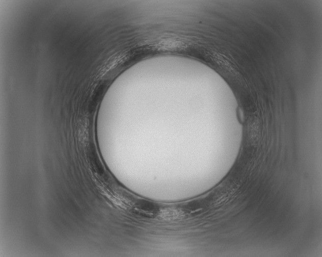 X0000051240591200507082126