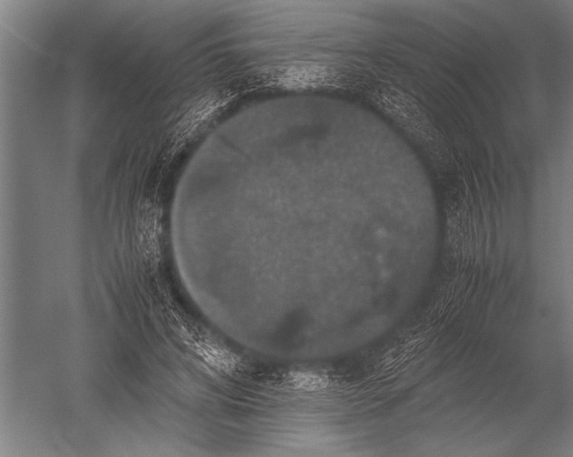 X0000051240592200507082126