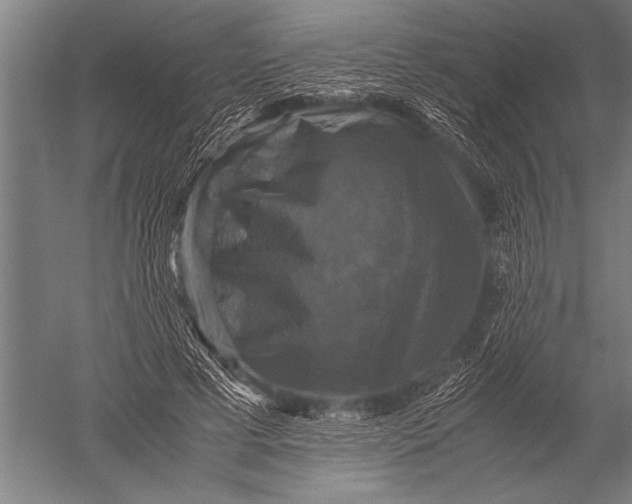 X0000051240593200507082126