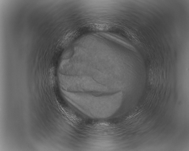 X0000051240594200507082126