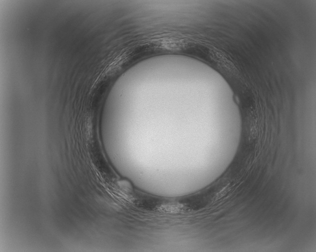 X0000051240595200507082126