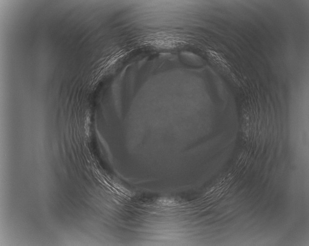 X0000051240596200507082126