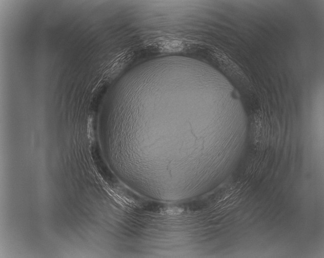 X0000051240598200507082126