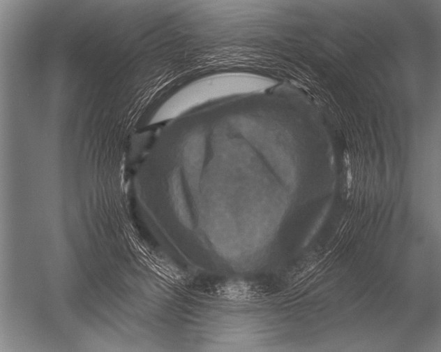 X0000051240600200507082126