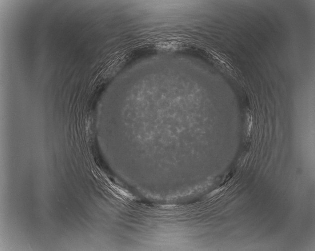 X0000051240601200507082126