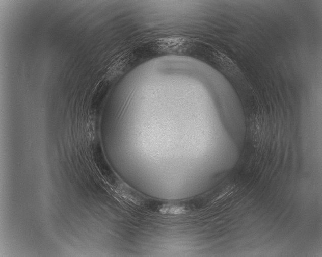 X0000051240602200507082126