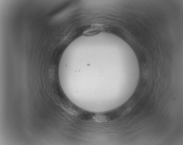 X0000051240603200507082126